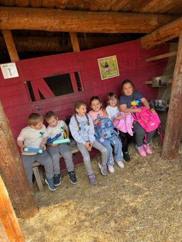 hdimg411e483f4dd7722803d45ca08f44e2