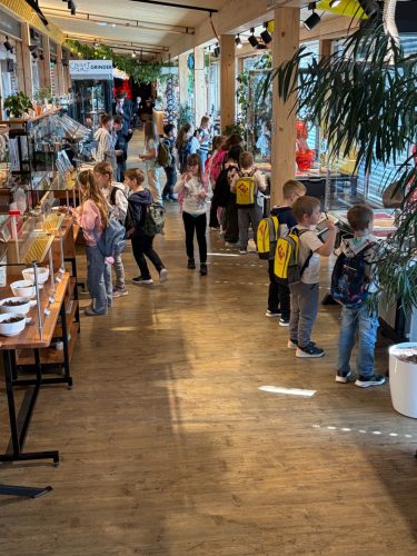 hdimg5de6783782fd720dec2e4b6773bfa5