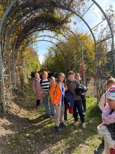 hdimg65460958b88a7f55aabe3c612b5350