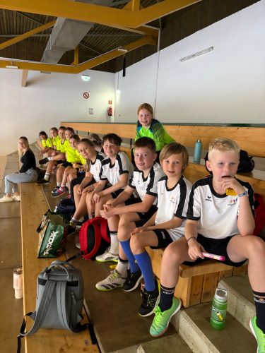 hdimg89d33970725f16a14bf24bdb04832e