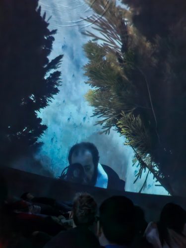 hdimga5a52403c1885d2703ddbd35edfadf (1)